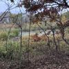 Rowlett Nature Trail gift card