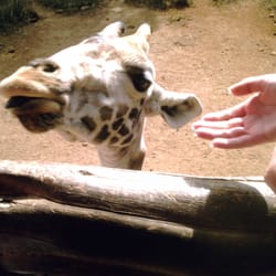 The David Sheldrick Wildlife Trust