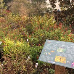 Brunswick County Government Center - Pollinator garden in late November