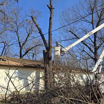 Pacific Tree Service - Tree Services Near Me - Joplin, Missouri Pacific Tree Service - Tree Services Near Me - Joplin, Missouri