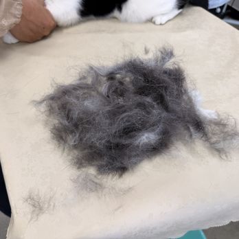 Happy Cat Grooming - Pet Groomers Near Me - Cypress, California Happy Cat Grooming - Pet Groomers Near Me - Cypress, California