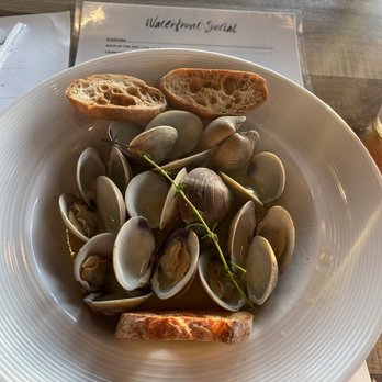 Waterfront Social - Clam soup - Bars Near Me - Crystal River, Florida Waterfront Social - Clam soup - Bars Near Me - Crystal River, Florida