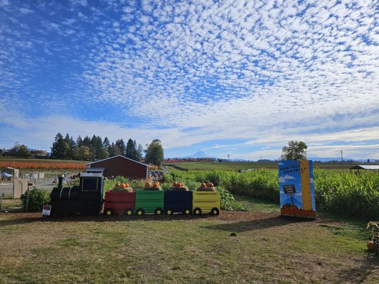 Bushue's Family Farm by null