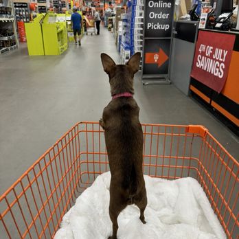 The Home Depot - Olivia Cocobean and I are heading to the paint section. We are going to paint our music room. Drummer! - Nurseries & Gardening Near Me - Sparks, Nevada The Home Depot - Olivia Cocobean and I are heading to the paint section. We are going to paint our music room. Drummer! - Nurseries & Gardening Near Me - Sparks, Nevada