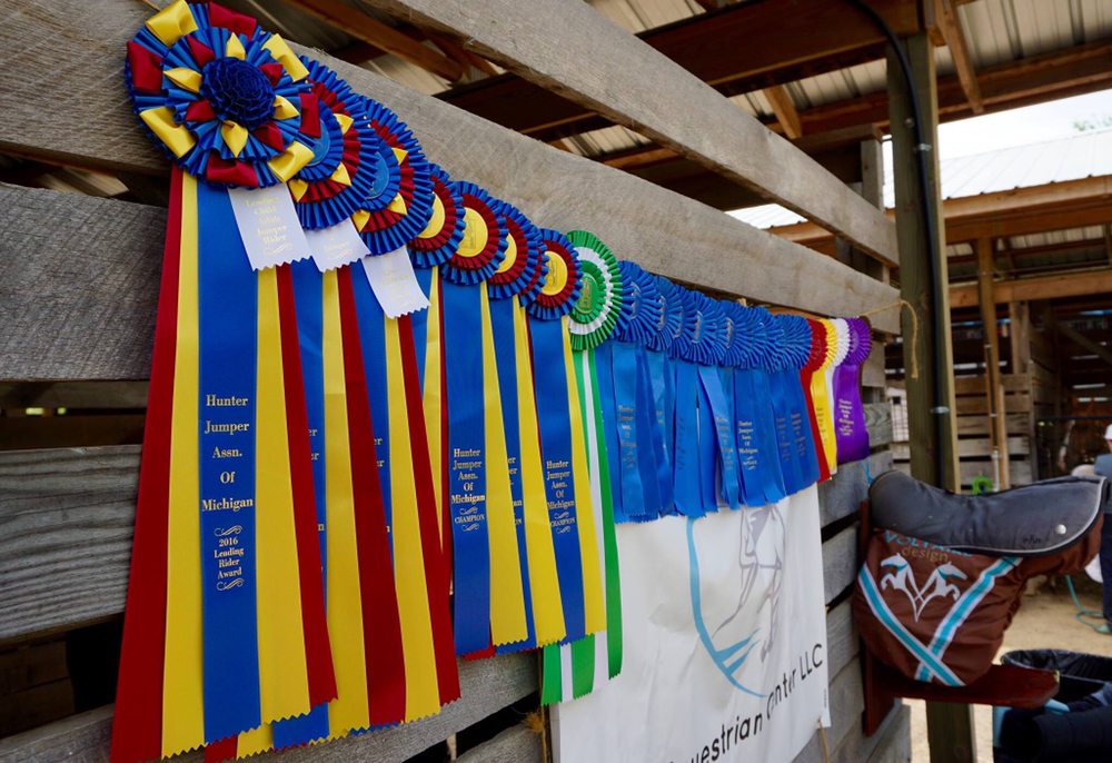 Ringside Equestrian Center - equestrian in Lyon Charter Township, MI