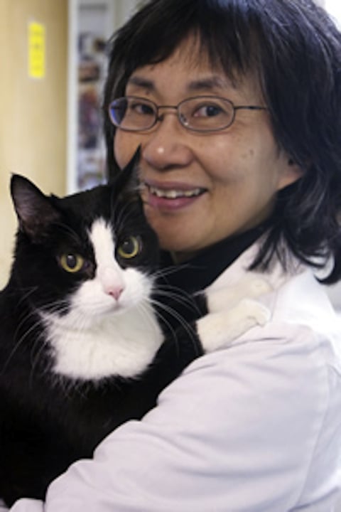 susan-chew-dvm-22-reviews-veterinarians-albany-ca-phone