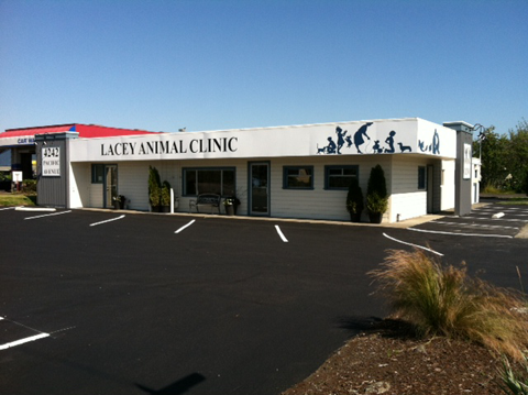 vca lacey animal hospital