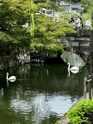 Kurashiki Bikan Historical Quarter by null