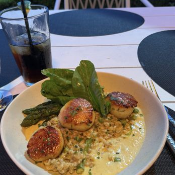 VUE - Scallops - New American Near Me - Carlsbad, California VUE - Scallops - New American Near Me - Carlsbad, California