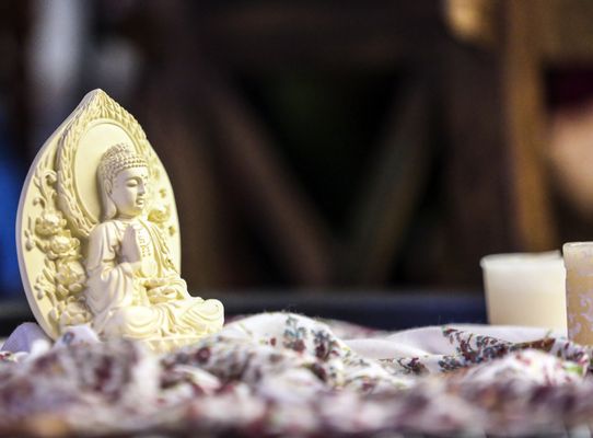 Animas Trading Co by null