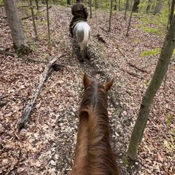 Grandpa Jeff's Trail Rides