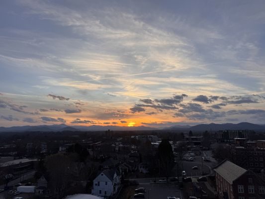 Wildwood Still by null