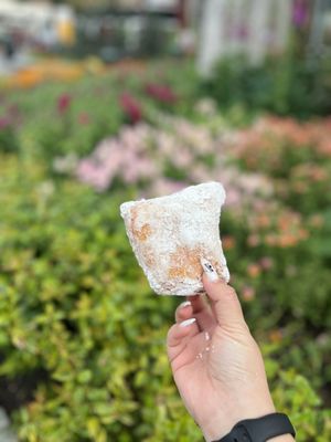 Beignets Expressed by null