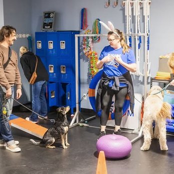 Zoom Room - Pet Training Near Me - West Allis, Wisconsin