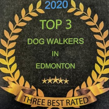 The Leash Team - We're proud to be one of the "Top 3 Dog Walkers" in Edmonton. - Dog Walkers Near Me