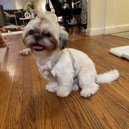 AFTER 2nd haircut AFTER 2nd haircut