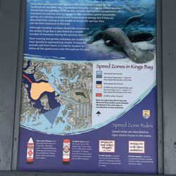 Pete's Pier Marina