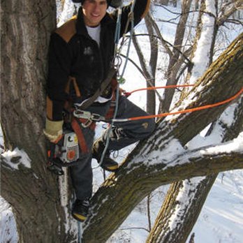 Tree Maven Tree Service - Tree Services Near Me