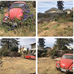Roses, Lawns & Weeds Gardening - Before & After