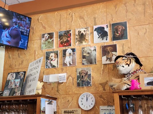 Kitty's Kafe by null