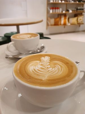 Plain Vanilla ION Orchard by null