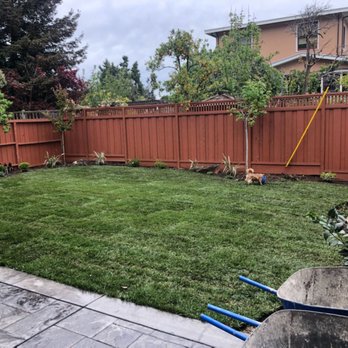 CH & L Services - Look at that! Will update with a recent Pic soon of how it's settling in! Tha KS. CH&L! We love it! - Landscaping Near Me - Concord, California CH & L Services - Look at that! Will update with a recent Pic soon of how it's settling in! Tha KS. CH&L! We love it! - Landscaping Near Me - Concord, California