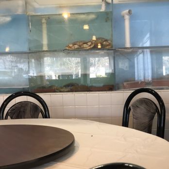 Little Hong Kong - Live fish & crabs in da haus! - Chinese Near Me - El Cerrito, California