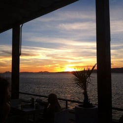 Albatros - Atardecer
