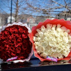 50 red and white roses