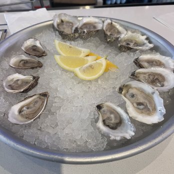 Saltine - Fresh oysters - Southern Near Me - Jackson, Mississippi Saltine - Fresh oysters - Southern Near Me - Jackson, Mississippi