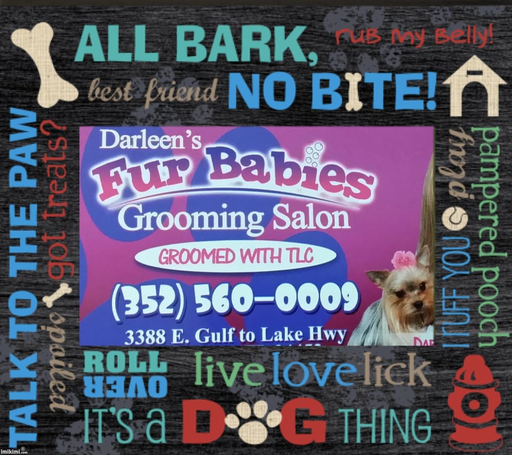 DARLEENS FUR BABIES GROOMING SALON 3388 E Gulf To Lake Hwy, Inverness, Florida Pet Groomers