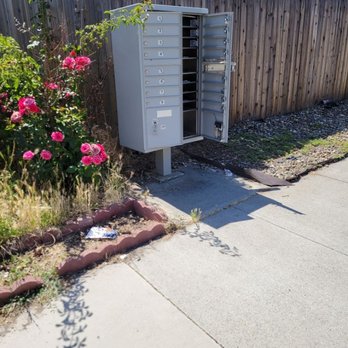 US Post Office - Burgess drive "community mailbox" broken into yet again. Why break 1 federal law when you can do it 15 times at once? - Post Offices Near Me - Sacramento, California US Post Office - Burgess drive "community mailbox" broken into yet again. Why break 1 federal law when you can do it 15 times at once? - Post Offices Near Me - Sacramento, California