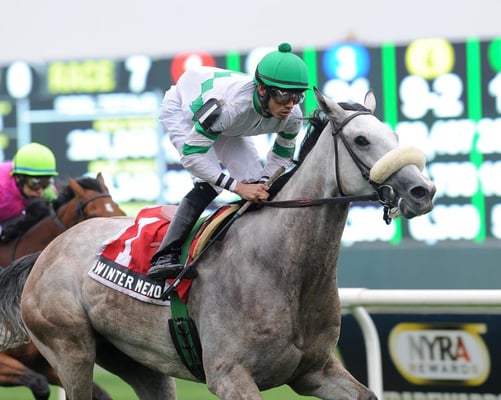 Belmont Park by null