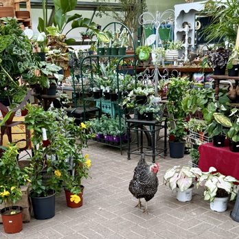 Ballantyne Gardens - Gardeners Near Me - Liverpool, New York