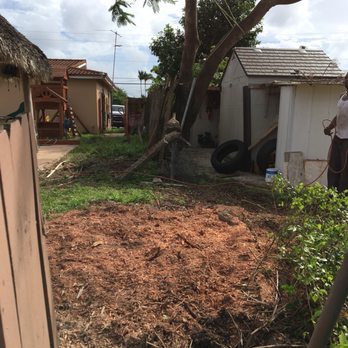 Premium Tree Service - Tree Services Near Me - Miami, Florida Premium Tree Service - Tree Services Near Me - Miami, Florida