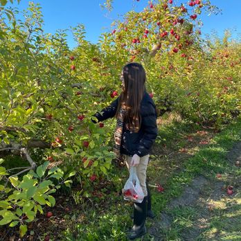 Apple Holler - Apple picking - American Near Me - Sturtevant, Wisconsin Apple Holler - Apple picking - American Near Me - Sturtevant, Wisconsin