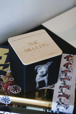 TAJA Collection by null