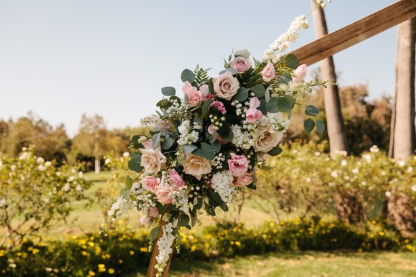 la petite fleur by null