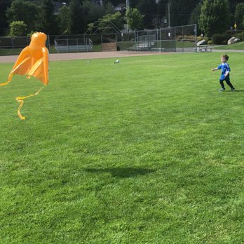 Lewis Creek Park - Kite flying and baseball field facing lakemont blvd and parking lot - Parks Near Me - Bellevue, Washington Lewis Creek Park - Kite flying and baseball field facing lakemont blvd and parking lot - Parks Near Me - Bellevue, Washington