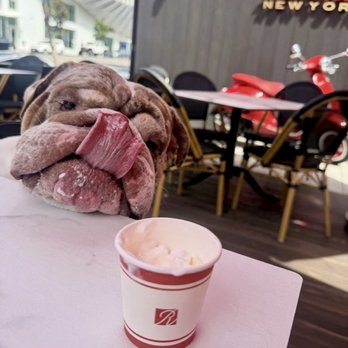 Ronnie’s Pronto - Pup cup! - Breakfast & Brunch Near Me - West Hollywood, California Ronnie’s Pronto - Pup cup! - Breakfast & Brunch Near Me - West Hollywood, California