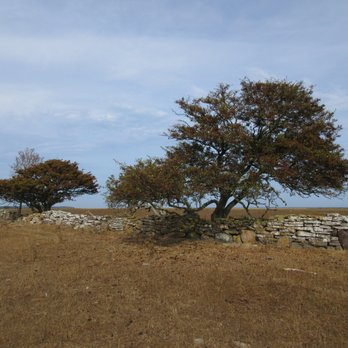 Naturum Ottenby - nice trees - Landmarks & Historical Buildings Near Me - Degerhamn, H