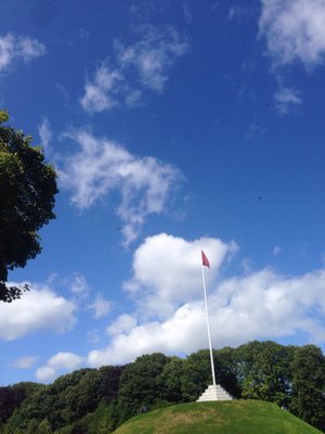 Duthie Park by null