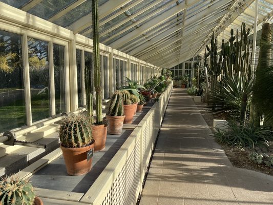 National Botanic Gardens by null