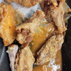 wnb wings - Very small wings!