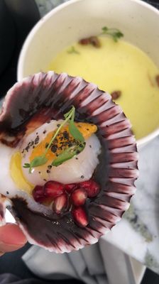 Ceviche Project by null Ceviche Project by null