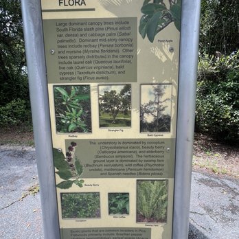 Boca Raton Nature Reserve - Parks Near Me - Boca Raton, Florida Boca Raton Nature Reserve - Parks Near Me - Boca Raton, Florida