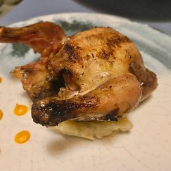 Azur - Quail - house special