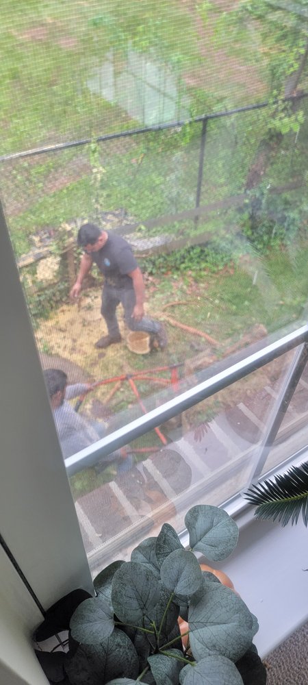 ER Tree Service - tree service in Owings Mills, MD