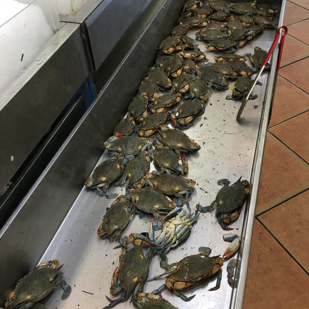 New York Mart - Live Crabs... - International Grocery Near Me - Sunrise, Florida New York Mart - Live Crabs... - International Grocery Near Me - Sunrise, Florida