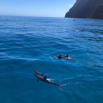 Kauai Sea Tours - Saw SO many dolphins! Incredible! - Boating Near Me - Eleele, Hawaii